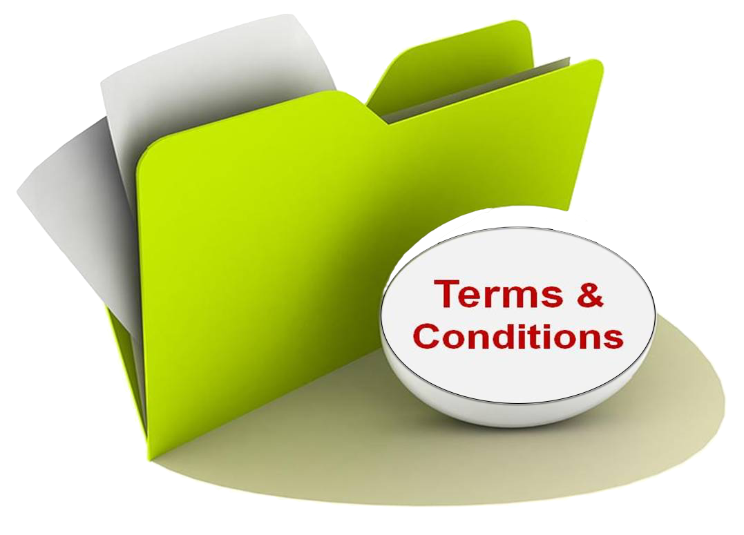 Terms And Conditions Tone Lizard